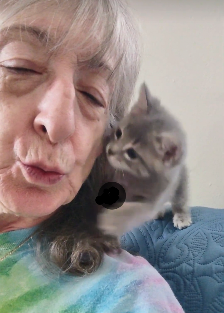 Meet Our Sitters Florida, Jacksonville, St. Augustine Dog Days